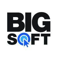 bigsoft logo image