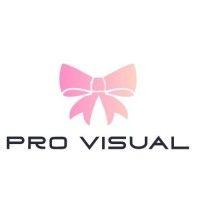 pro visual maja kavčič s.p. logo image