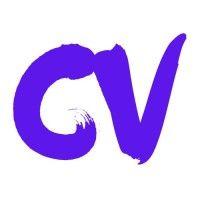 chany ventures logo image