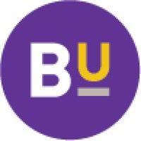 bethel university, college of professional studies logo image