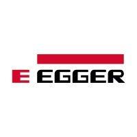 egger polska logo image