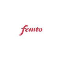 femto partners logo image