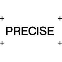 precise.ai logo image