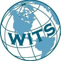 world it solutions (witsllc)