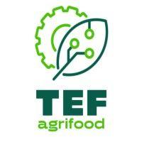 agrifoodtef logo image