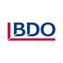 logo of Bdo Brazil