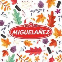 grupo miguelanez logo image