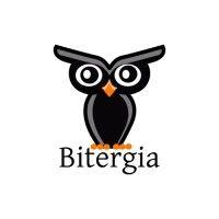 bitergia logo image