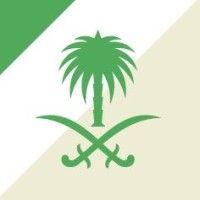 government entity in saudi arabia