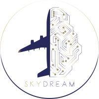 skydream - consulting company logo image