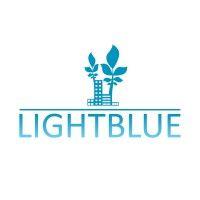 lightblue consulting