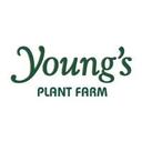 logo of Youngs Plant Farm Inc