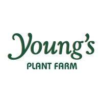 young's plant farm, inc. logo image