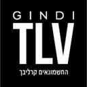 logo of Gindi