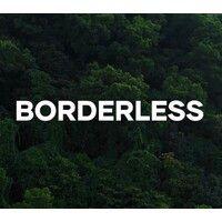 borderless services inc. (bsi) logo image