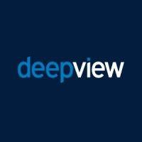 deepview logo image