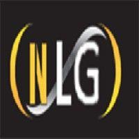 no limit games llc logo image