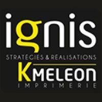 ignis logo image