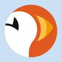 puffin innovations logo image