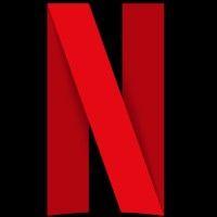 netflix india logo image