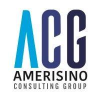 amerisino consulting group logo image