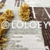 loloey logo image