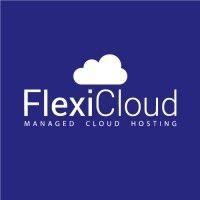 flexicloud.in logo image