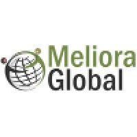 meliora global llc logo image