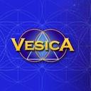 logo of The Vesica Institute For Holistic Studies