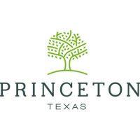 city of princeton tx logo image