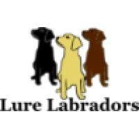 lure labradors llc logo image