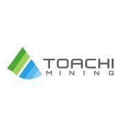 toachi mining inc. (tsx-v: tim) (otcqb: timgf) logo image