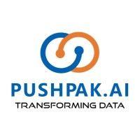 pushpak ai logo image