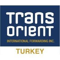 transorient international forwarding inc logo image