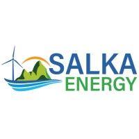 salka energy logo image