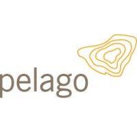 pelago logo image