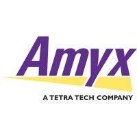 amyx, inc. logo image