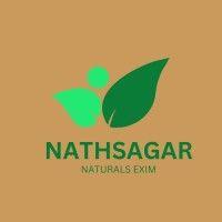 nathsagar naturals exim logo image