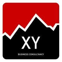 xy business consultancy ltd logo image