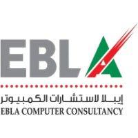 ebla computer consultancy