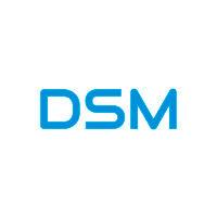 dsm infocom private limited logo image