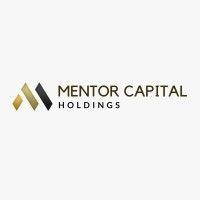 mentor capital holdings bv logo image