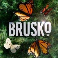 brusko logo image