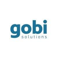 gobi business intelligence solutions logo image