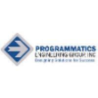 programmatics engineering group, inc. logo image