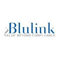 blulink logo image