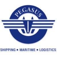 pegasus shipping, inc. & pegasus maritime, inc. logo image