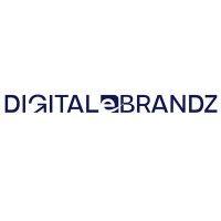 digital ebrandz logo image