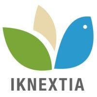 iknextia logo image