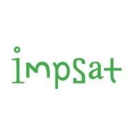 impsat fiber networks inc